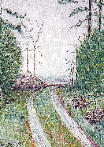 Waldweg